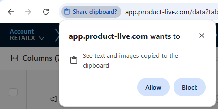 Allow copy/paste